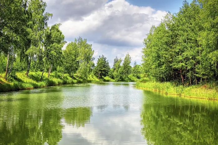 Gerahmter Druck : Sommerlandschaft mit Fluss und blauem Himmel. Gerahmter Druck : Sommerlandschaft mit Fluss und blauem Himmel.