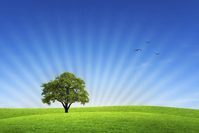 Gerahmter Druck : Sommerlandschaft Gerahmter Druck : Sommerlandschaft