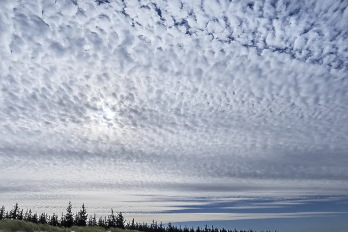 Gerahmter Druck : Sonne hinter einer Wolkenbedeckung (Altocumulus). Gerahmter Druck : Sonne hinter einer Wolkenbedeckung (Altocumulus).