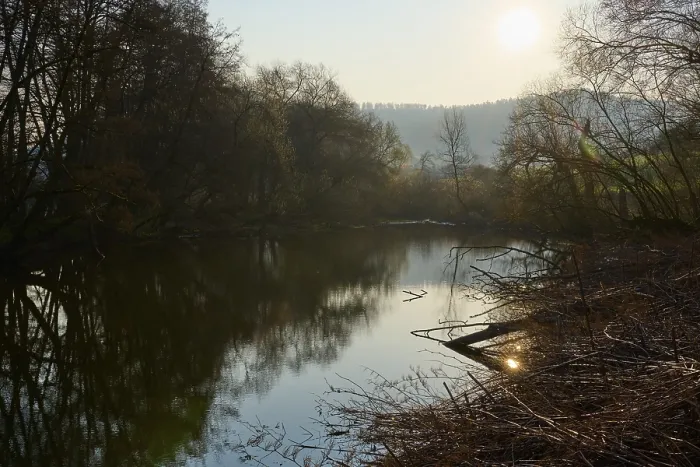 Gerahmter Druck : Sonnenschein fällt auf einen stillen Fluss, der von dichten Baumwipfeln umgeben ist. Gerahmter Druck : Sonnenschein fällt auf einen stillen Fluss, der von dichten Baumwipfeln umgeben ist.