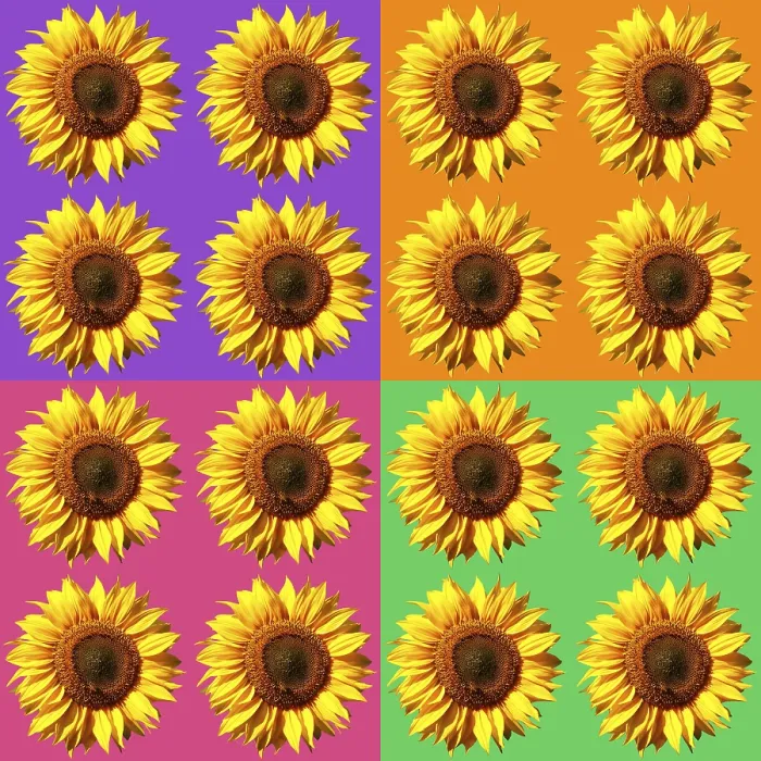 Gerahmter Druck : Sonnenblumenmuster, farbenfroh, Hintergrund. Gerahmter Druck : Sonnenblumenmuster, farbenfroh, Hintergrund.