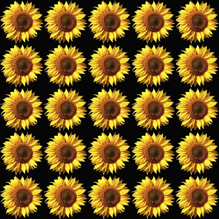 Gerahmter Druck : Sonnenblumenmuster, farbig, Hintergrund. Gerahmter Druck : Sonnenblumenmuster, farbig, Hintergrund.