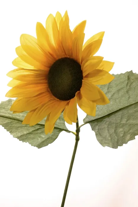 Gerahmter Druck : Sonnenblume aus Kunststoffen Gerahmter Druck : Sonnenblume aus Kunststoffen