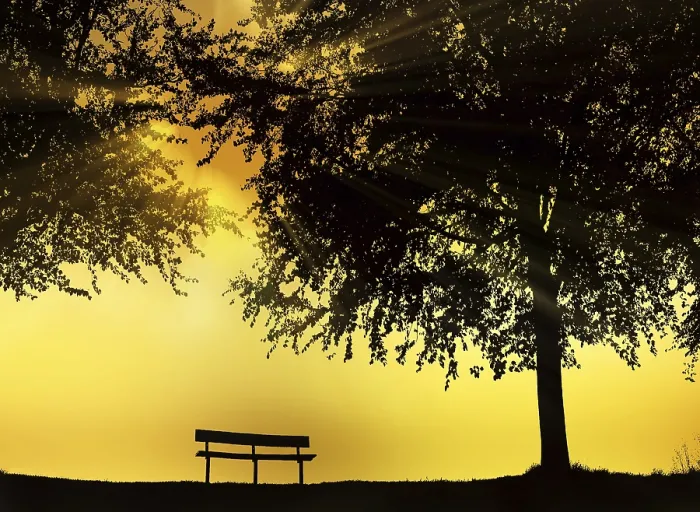 Gerahmter Druck : Sonniger Park