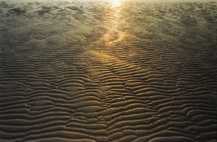 Gerahmter Druck : Sunset Gerahmter Druck : Sunset