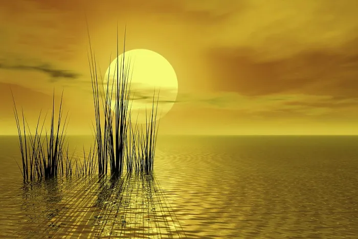Gerahmter Druck : Sunset Gerahmter Druck : Sunset