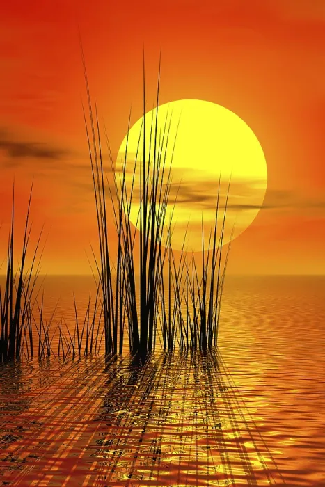 Gerahmter Druck : Sunset
