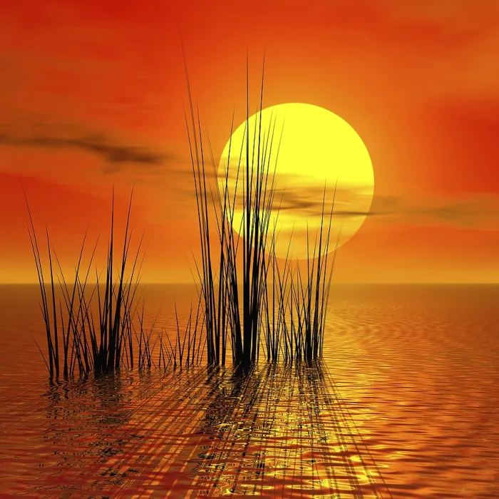 Gerahmter Druck : Sunset