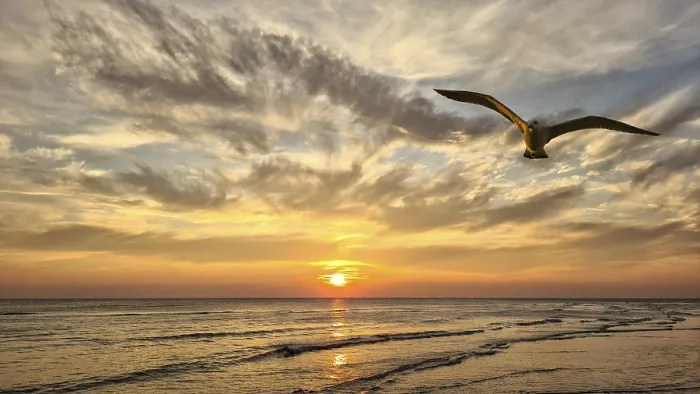 Gerahmter Druck : Sunset Gerahmter Druck : Sunset