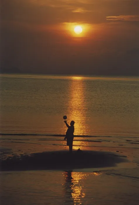 Gerahmter Druck : Sonnenuntergangsstrand Gerahmter Druck : Sonnenuntergangsstrand