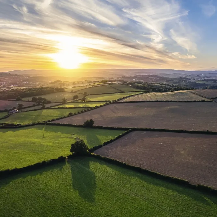 Gerahmter Druck : Sonnenuntergang über Devon Fields von einem Drohnen. Gerahmter Druck : Sonnenuntergang über Devon Fields von einem Drohnen.