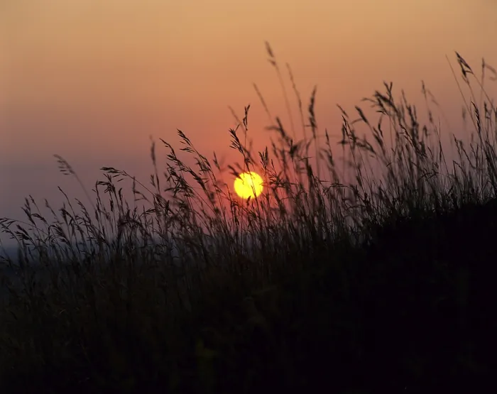 Gerahmter Druck : Sonnenuntergang über einem Feld, Erfurt, Thüringen, Deutschland. Gerahmter Druck : Sonnenuntergang über einem Feld, Erfurt, Thüringen, Deutschland.