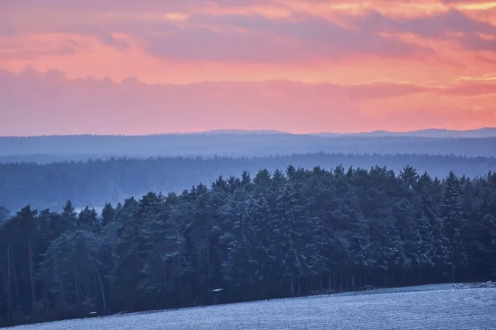 Gerahmter Druck : Sonnenuntergang über einem Wald, Bayern, Deutschland.