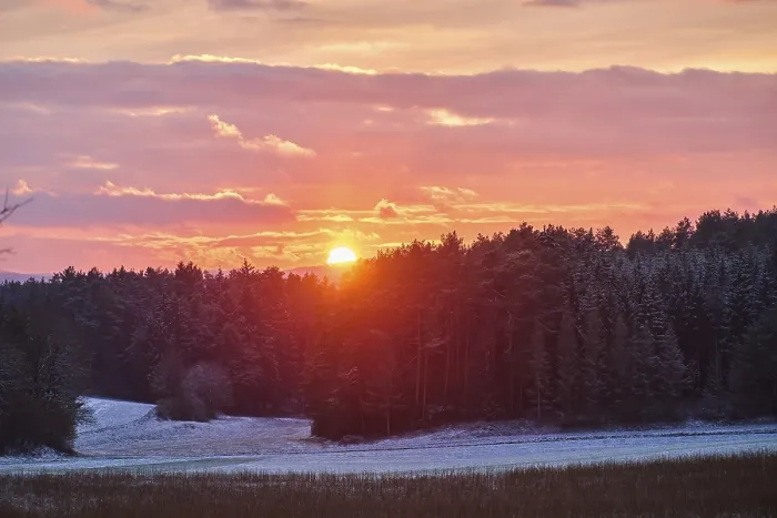 Gerahmter Druck : Sonnenuntergang über einem Wald, Bayern, Deutschland. Gerahmter Druck : Sonnenuntergang über einem Wald, Bayern, Deutschland.