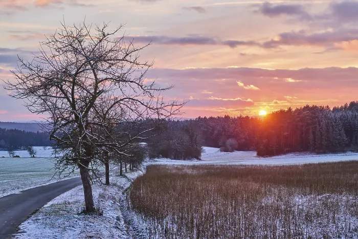 Gerahmter Druck : Sonnenuntergang über einem Wald, mit einem kleinen Pfad und Feldern. Gerahmter Druck : Sonnenuntergang über einem Wald, mit einem kleinen Pfad und Feldern.