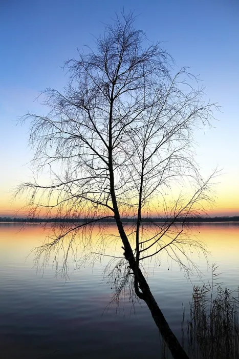 Gerahmter Druck : Sonnenuntergang am See. Gerahmter Druck : Sonnenuntergang am See.
