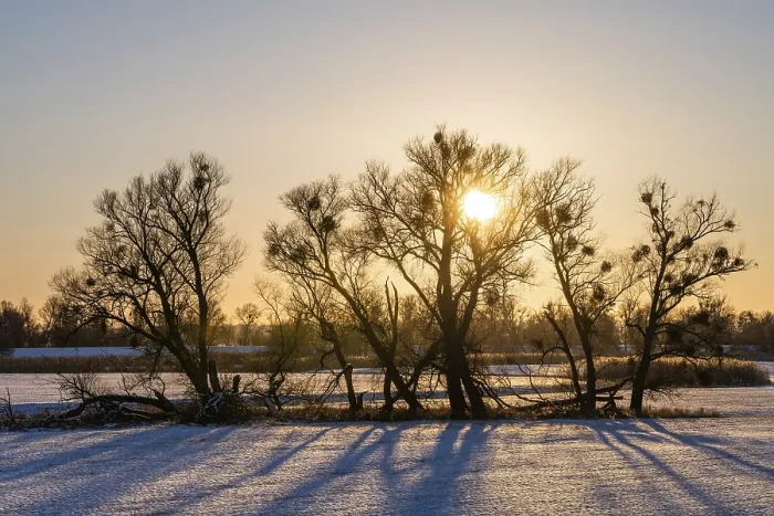 Gerahmter Druck : Sonnenuntergang in den Oder-Niederungen im Winter.