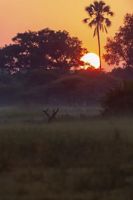 Gerahmter Druck : Sonnenuntergang über dem Okavango-Delta. Gerahmter Druck : Sonnenuntergang über dem Okavango-Delta.