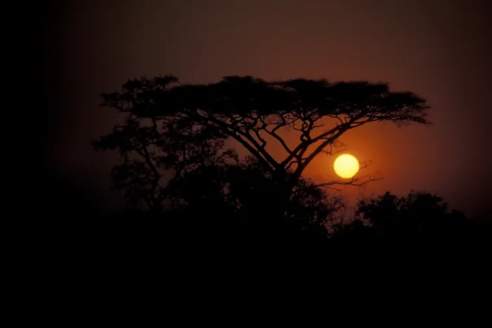 Gerahmter Druck : Sonnenuntergang Okavango-Delta Botswana Gerahmter Druck : Sonnenuntergang Okavango-Delta Botswana