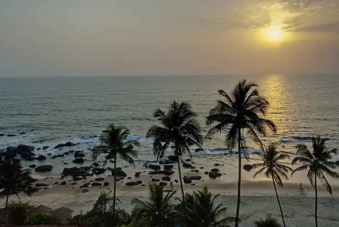 Gerahmter Druck : Sonnenuntergang mit Palmen am Strand. Gerahmter Druck : Sonnenuntergang mit Palmen am Strand.