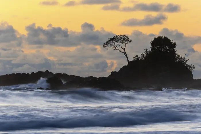 Gerahmter Druck : Sonnenuntergang auf sandiger Strand, Baum auf Lavarock. Gerahmter Druck : Sonnenuntergang auf sandiger Strand, Baum auf Lavarock.