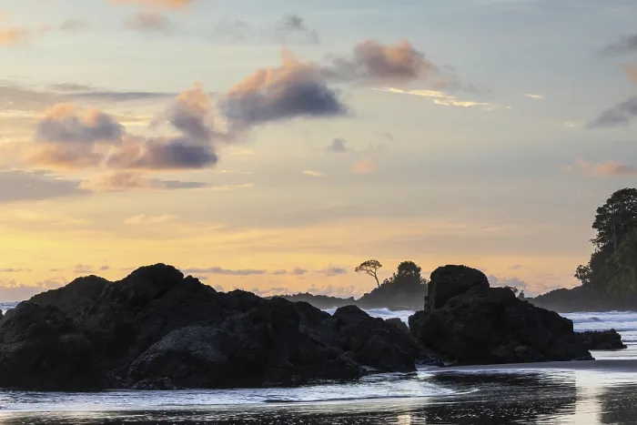 Gerahmter Druck : Sonnenuntergang auf sandiger Strand, Baum auf Lavarock. Gerahmter Druck : Sonnenuntergang auf sandiger Strand, Baum auf Lavarock.
