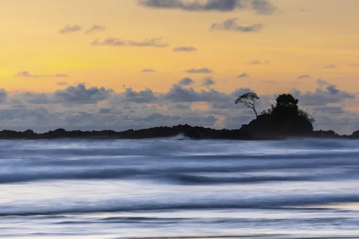 Gerahmter Druck : Sonnenuntergang auf sandiger Strand, Baum auf Lavafelsen. Gerahmter Druck : Sonnenuntergang auf sandiger Strand, Baum auf Lavafelsen.