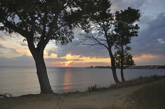 Gerahmter Druck : Sonnenuntergang, Baum, Bäume, zwei, Abend. Gerahmter Druck : Sonnenuntergang, Baum, Bäume, zwei, Abend.