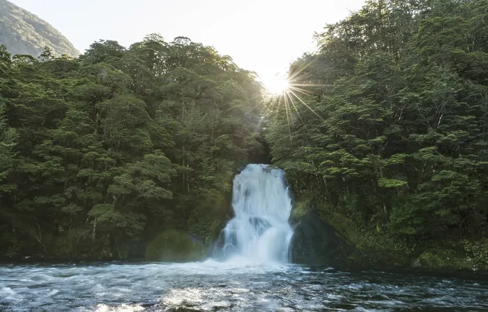 Gerahmter Druck : Sonne, Wasserfall im Wald, Iris Burn Falls Gerahmter Druck : Sonne, Wasserfall im Wald, Iris Burn Falls