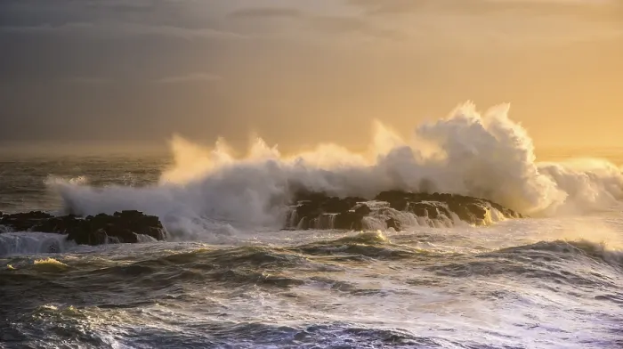 Gerahmter Druck : Surfen, Atlantikküste, Malariff Gerahmter Druck : Surfen, Atlantikküste, Malariff