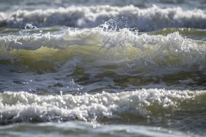 Gerahmter Druck : Surfen, Wellen, Sondervig Beach Gerahmter Druck : Surfen, Wellen, Sondervig Beach