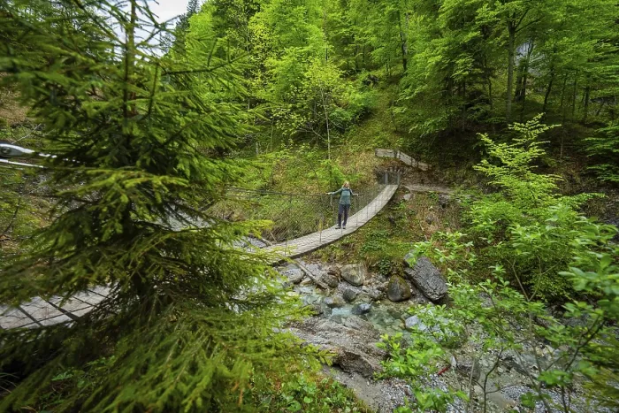 Gerahmter Druck : Hängebrücke über das Flussbett. Gerahmter Druck : Hängebrücke über das Flussbett.