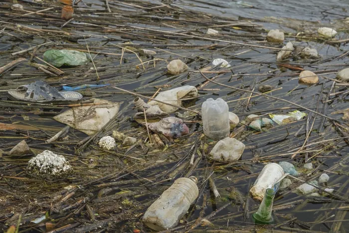 Gerahmter Druck : Plastikmüll am Ufer der Donau, Donaudelta, Vylkove, Ukraine Gerahmter Druck : Plastikmüll am Ufer der Donau, Donaudelta, Vylkove, Ukraine