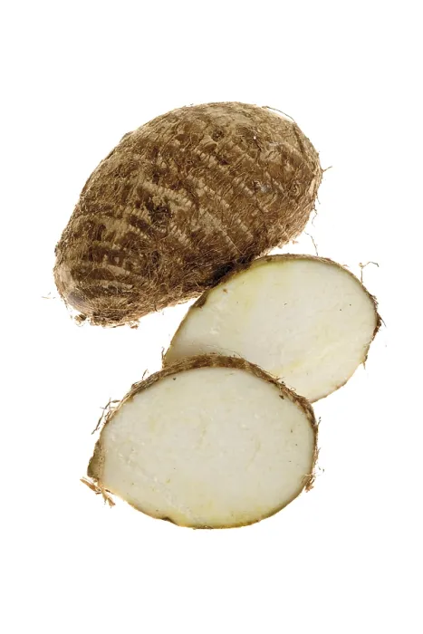 Gerahmter Druck : Taro-Knollen