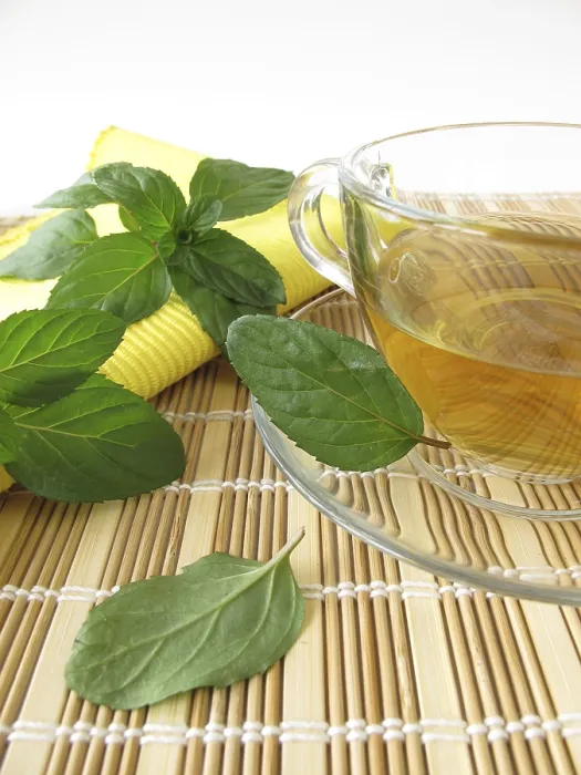 Gerahmter Druck : Tee mit Zitrone und Minze. Gerahmter Druck : Tee mit Zitrone und Minze.