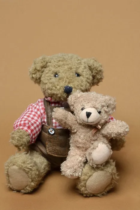 Gerahmter Druck : Zwei Teddybären, sitzend, vor einem braunen Hintergrund. Gerahmter Druck : Zwei Teddybären, sitzend, vor einem braunen Hintergrund.
