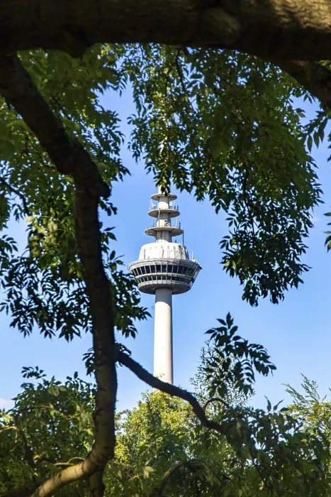 Gerahmter Druck : Fernmeldeturm in Mannheim Gerahmter Druck : Fernmeldeturm in Mannheim