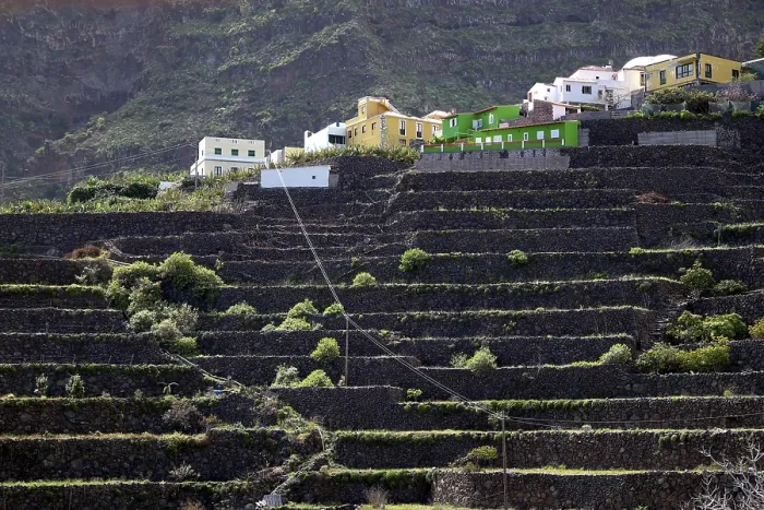 Gerahmter Druck : Terrassenfelder in Agulo, La Gomera. Gerahmter Druck : Terrassenfelder in Agulo, La Gomera.