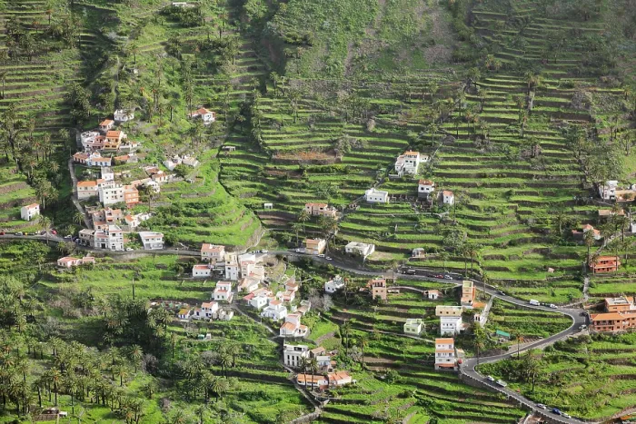 Gerahmter Druck : Terrassenfelder in Valle Gran Rey Gerahmter Druck : Terrassenfelder in Valle Gran Rey
