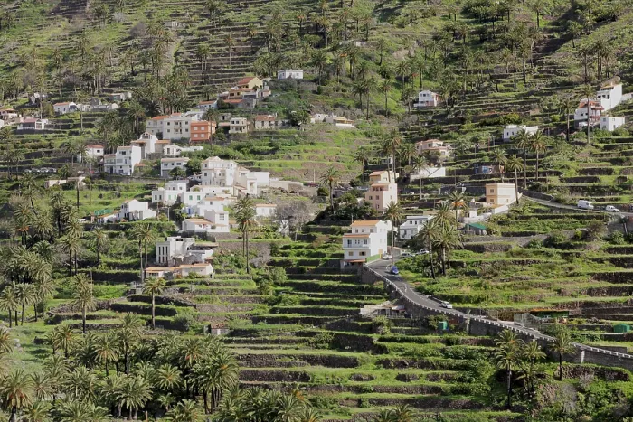 Gerahmter Druck : Terrassenfelder, Valle Gran Rey Gerahmter Druck : Terrassenfelder, Valle Gran Rey