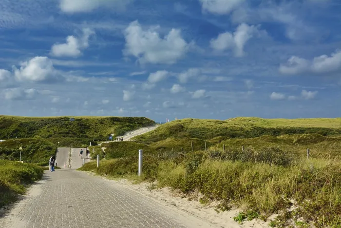 Gerahmter Druck : Texel, Niederlande Gerahmter Druck : Texel, Niederlande