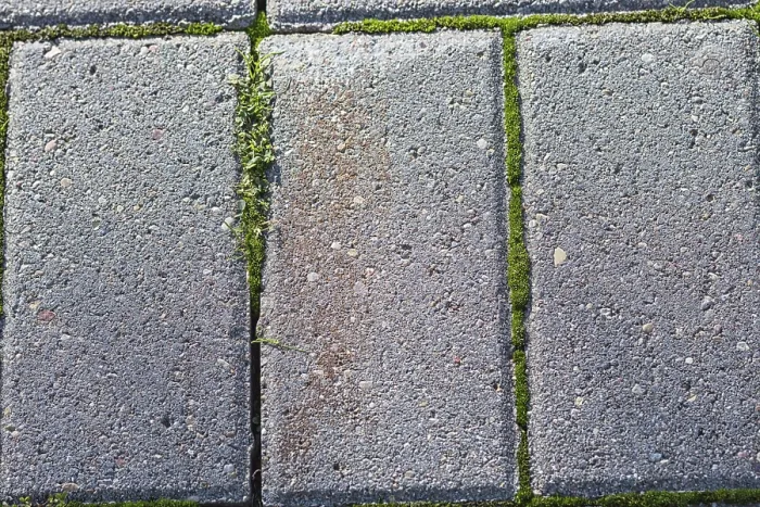 Gerahmter Druck : Textur eines Felsens mit Moos und Flechten.