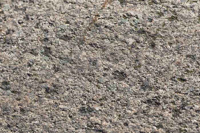 Gerahmter Druck : Bodenbewuchs auf einem Felsen Gerahmter Druck : Bodenbewuchs auf einem Felsen