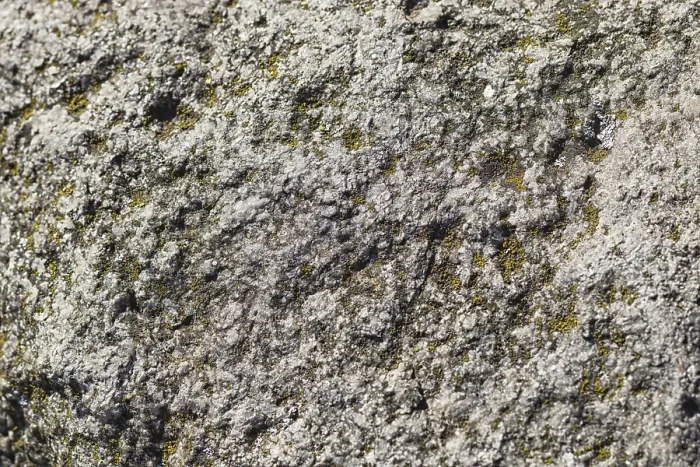 Gerahmter Druck : Textur eines Findlings mit Moos und Flechten. Gerahmter Druck : Textur eines Findlings mit Moos und Flechten.