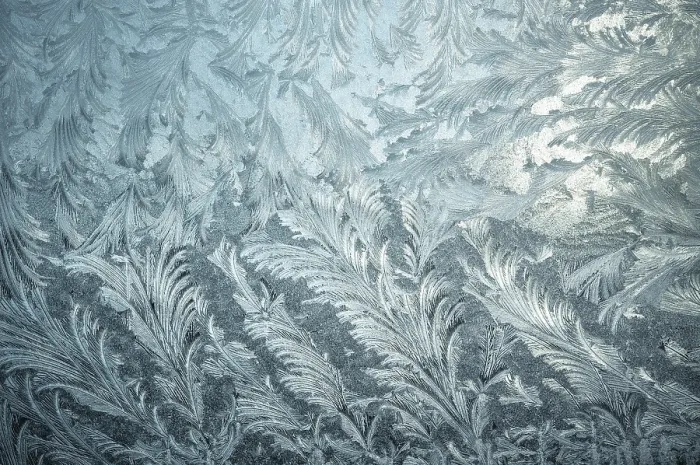 Gerahmter Druck : Textur, Frostblumen. Gerahmter Druck : Textur, Frostblumen.