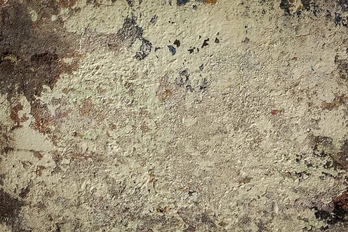 Gerahmter Druck : Texturierter Grunge-Hintergrund einer bemalten Plasterwand Gerahmter Druck : Texturierter Grunge-Hintergrund einer bemalten Plasterwand