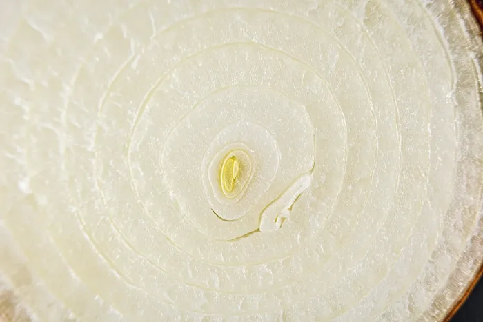 Gerahmter Druck : Texturdetail einer halbierten Zwiebel. Gerahmter Druck : Texturdetail einer halbierten Zwiebel.