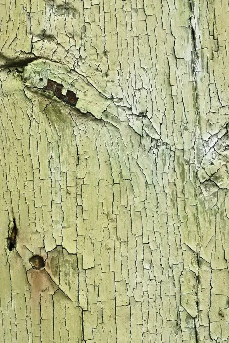 Gerahmter Druck : Textur, Holz mit abblätterndem Farbanstrich. Gerahmter Druck : Textur, Holz mit abblätterndem Farbanstrich.