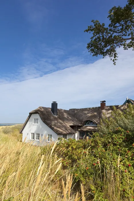 Gerahmter Druck : Dachbauer in den Dünen am Strand. Gerahmter Druck : Dachbauer in den Dünen am Strand.