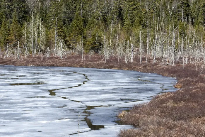 Gerahmter Druck : Eissee im Frühjahr. Gerahmter Druck : Eissee im Frühjahr.